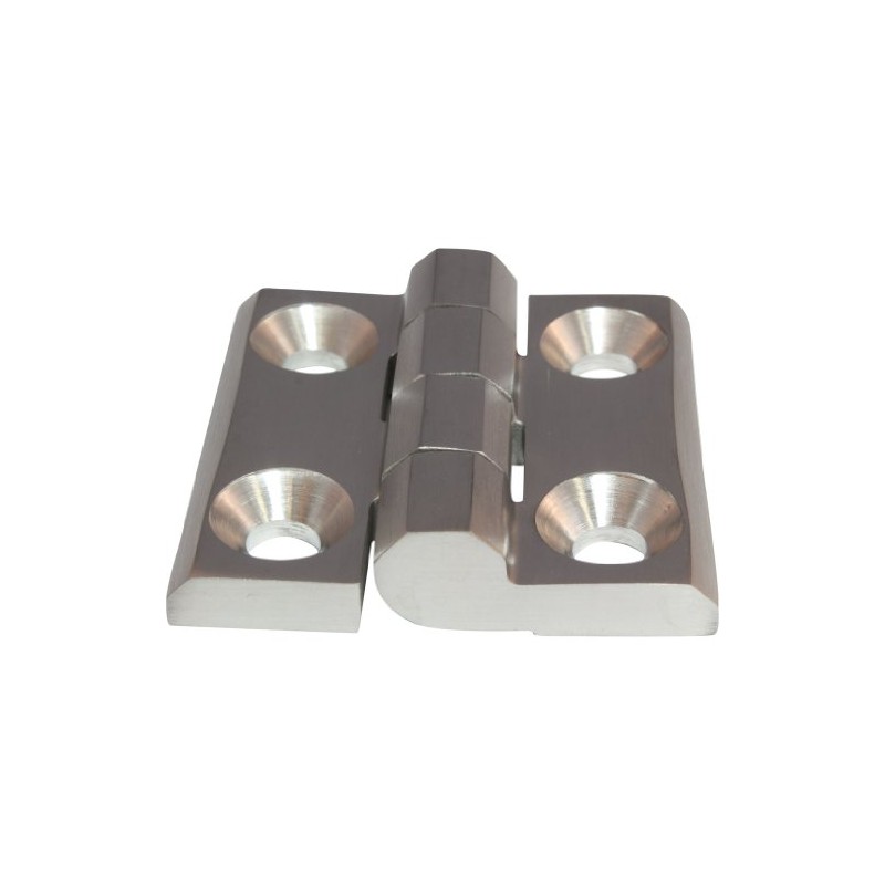 AISI 316 Stainless Steel Hinge Screw-On Hinge Stainless Steel 40