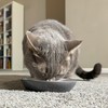 SPOT Two Tone Gray Oval Cat Food Dish - Ceramic