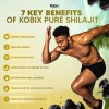 Unbranded Kobix Pure Himalayan Shilajit Resin, High Nutritional Potency, 85+