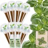 Basil Seed Pods Kit Hydroponic - Refill Herb Pod for