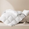 LeWinBedding Luxury Goose Feathers Down Comforter Twin Size,All Season Fluffy