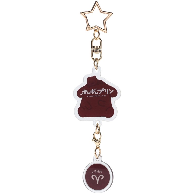 Skater ZAKH1 Aries Key Holder, Size: 1.2 x 5.4 x