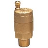 150 psi Automatic Air Vent Valve, Brass, 3/4 in Inlet