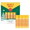 Burt's Bees Bálsamo labial, cera de abejas Bounty, clásico, paquete