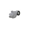 Dayco APV1076 Riemenspanner, Keilrippenriemen