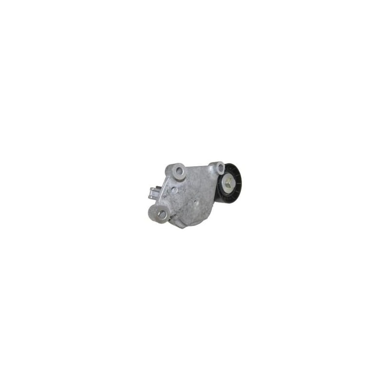 Dayco APV1076 Riemenspanner, Keilrippenriemen
