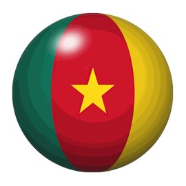 Vinyl Wall Quotes Stickers Cameroon Vintage Words Letter Stickers Home Decorations Global World Flag Travel Trip Wall Sticker for Classroom Family Backdrops Cups 18in