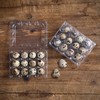 60 Pcs Quail Egg Cartons, Square Dozen Egg Boxes, Classical