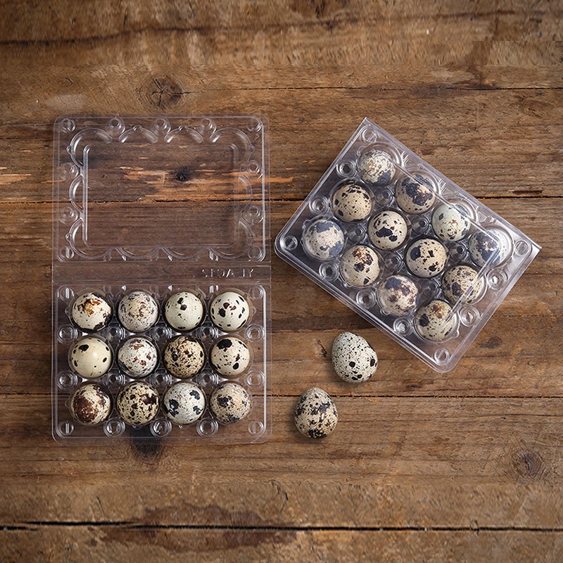 60 Pcs Quail Egg Cartons, Square Dozen Egg Boxes, Classical