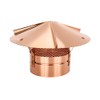 Cone Top Cap with Screen - Copper 6 inch