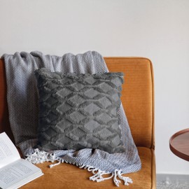 Pagnanno. Set of 2 Soft Velvet Cushion Covers 40x40cm(16x16 Inches) Fluff Throw Pillowcases Square Cushion Covers for Chairs,living room,bedroom with Invisible Zipper (16"x16" (Pack of 2), Dark Grey)