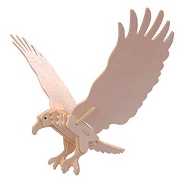 Quay Hawk Woodcraft Construction Kit