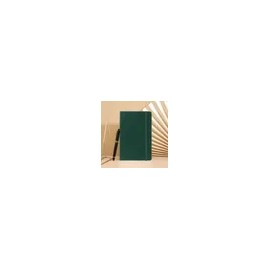 Pickle Stationery and Office Supply Notebook Green for school, and desk organization, writing planning or paper accessory, Pickle Korean Import, and Desk