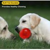 Squeaky Spike Ball for Dogs, 3.5 inch Durable Rubber Chew