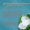 Crystal - Desodorante Corporal en Barra 120g