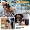 rabbitgoo Escape-Proof Dog Harness Medium with Large Handle, Anti-Pull Reflective