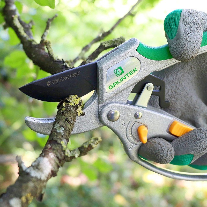 GRÜNTEK Secateurs Kakadu up to 24 mm with Switch On-Off