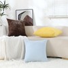 Jeneoo Baby Blue Decorative Throw Pillow Covers Soft Chenille Comfy
