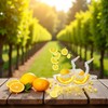 2 Pack Bird shape Lemon Squeezer, Lemon Juicer Acrylic Manual