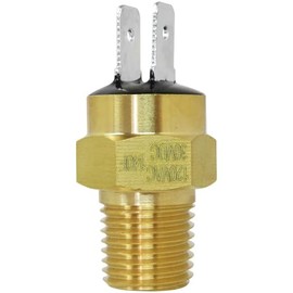 Upgrade 42002-0025S 140F Automatic Gas Shutoff (AGS) Switch Replacement for Sta Rite Max-E-Therm (Sr200 / Sr333 / Sr400) Pool Heaters Models