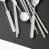 2+2 Domestic Premium Kamome Kitchen Ridge Stainless Steel Spoon and
