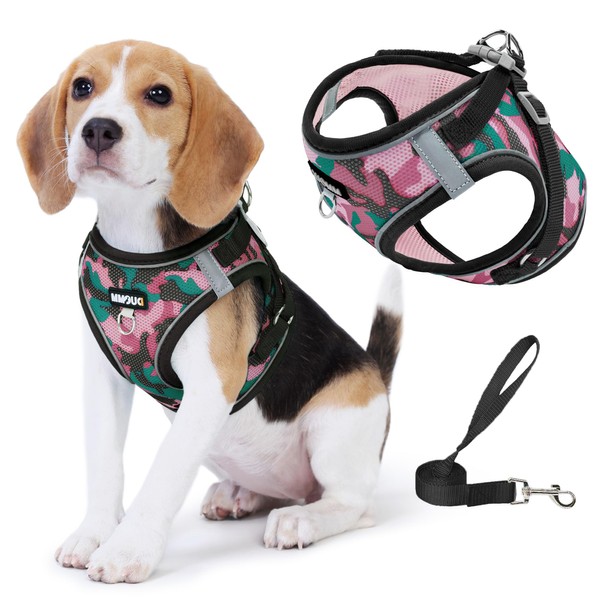 Jolifield Step in Dog Harness with Leash Set, Adjustable Soft