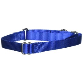 PetSafe Adjustable Martingale Collar - Only Tightens When Dogs Pull, Prevents Slipping Out - Helps with Strong Pullers, Increased Control - Alternative to Choke Collar - 3/4", Medium, Royal Blue
