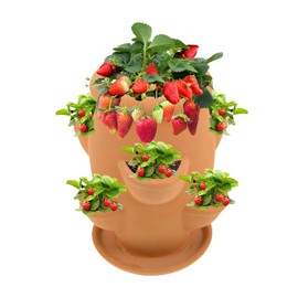 Strawberry Tower,Vertical Planter Tower Strawberry Pot | Decorative Flowerpot Container with Tray, Gardening Supplies for Vegetable Flower Orchid