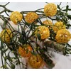 Rattan-ball light chain yellow / Ball light chains