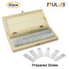 ULAB Basic Biology Prepared Microscope Slides with Specimen for Kids,
