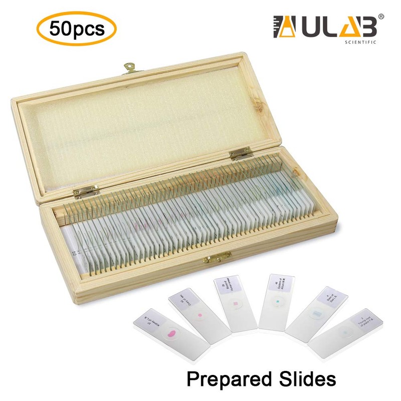 ULAB Basic Biology Prepared Microscope Slides with Specimen for Kids,