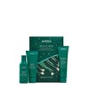 AVEDA Botanical Repair Strengthening Esssentials, gift set (shampoo, conditioner and
