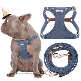 Puppytie No Pull Dog Harness with Multifunction Dog Leash,Soft Adjustable No Choke Escape Proof Pet Harness Vest for Medium Dogs,Denim Light Blue,M