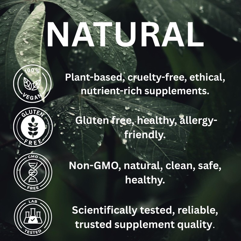 Nutrition Kings Lion’s Mane Mushroom Supplement 1000mg – 60 Vegan