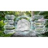 The Joy & Co, Piedra de Alumbre 1 kg