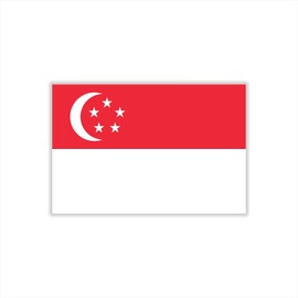 Womaha 30 Sheets Singapore Flag Temporary Tattoos Fans Face Tattoo Stickers for Adults Kids Group Activity Props