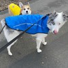 Mile High Life Dog Raincoat, Adjustable Waterproof Reflective Rain Jacket