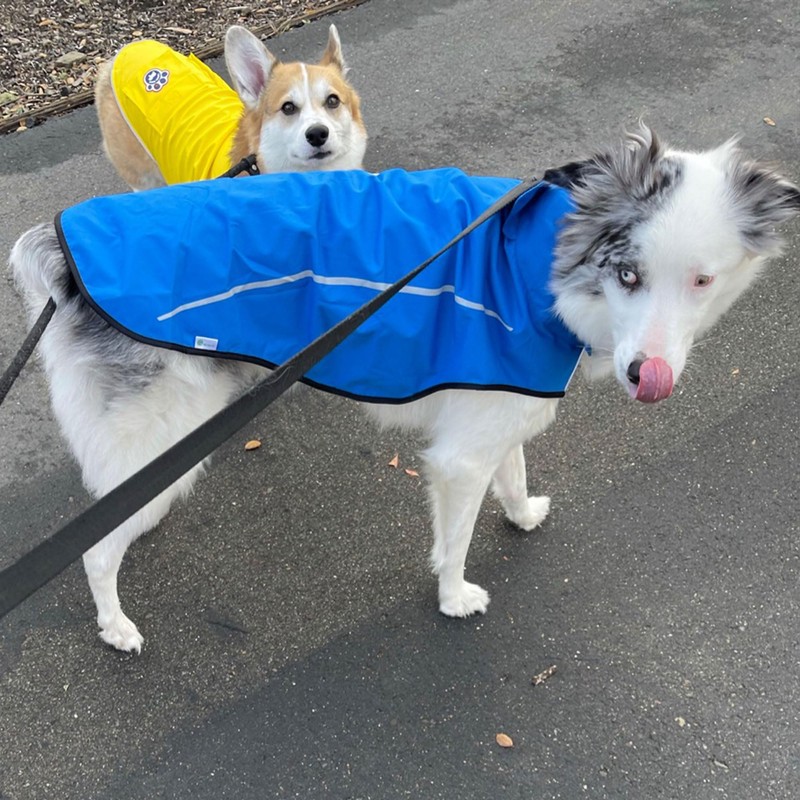 Mile High Life Dog Raincoat, Adjustable Waterproof Reflective Rain Jacket
