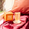 T2 Tea Lemongrass and Ginger Loose Leaf Herbal Tea in