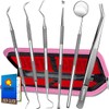 G.CATACC Dental Tools, Dental Pick Teeth Cleaning Tools Hygiene Kit,