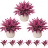 Artificial Dragon Blood Plant Set, 6 Pack Outdoor Cordyline Fack