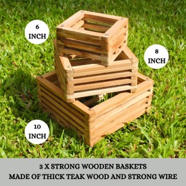 DESQUIGGLE 3 Strong Hanging Orchid Baskets with Hangers (1 x 10 Inches, 1 x 8 Inches, 1 x 6 Inches), Wood Vanda Baskets, Hanging Orchid Baskets, Orchid Tree Hangers for Indoors or Outdoors