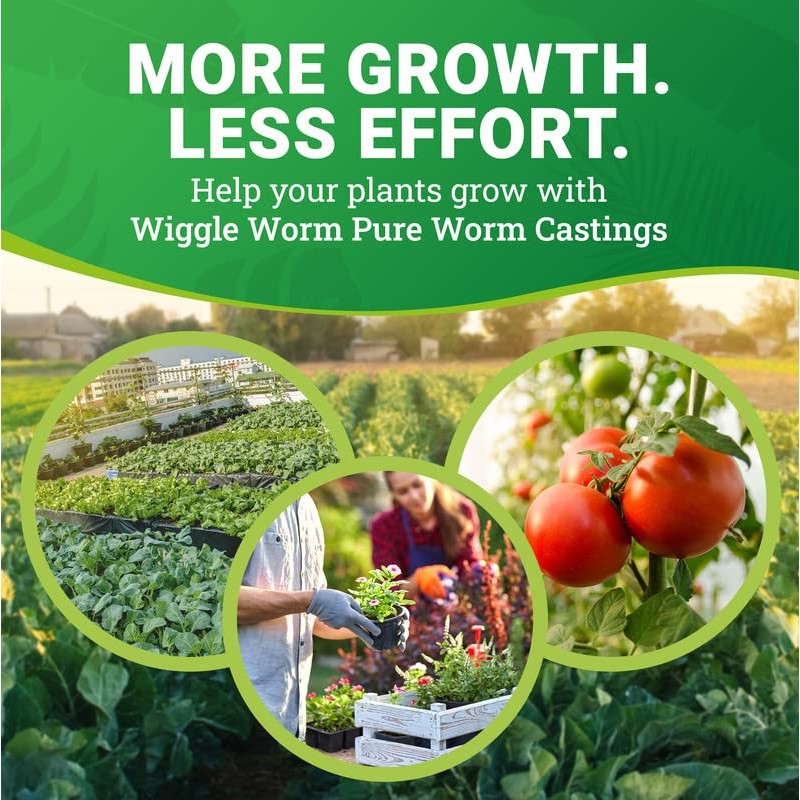 Wiggle Worm 100% Pure Organic Worm Castings - Organic Fertilizer