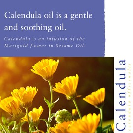 Absolute Aromas Calendula Infused Oil 50ml - Pure, Natural, Infused Calendula in Sesame Oil – Natural Moisturiser and Massage Oil for Skin, Hair and Nails