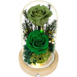 Preserved  Roses Gifts for Women Mom, Fresh  Forever Roses with Long-Lasting, Forever Roses Flower Bouquets with LED Lights, Birthday Gift, Mothers Day, Anniversary, Christmas - Color: Green-Rose-led