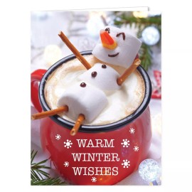 Canopy Street Cocoa Snowman Holiday Card Pack / 25 Winter Wishes Cards Set/Hot Chocolate Ma...