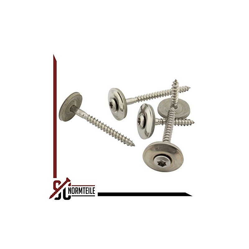 Pack of 100 Spengler Screws with Sealing Washer 20 mm