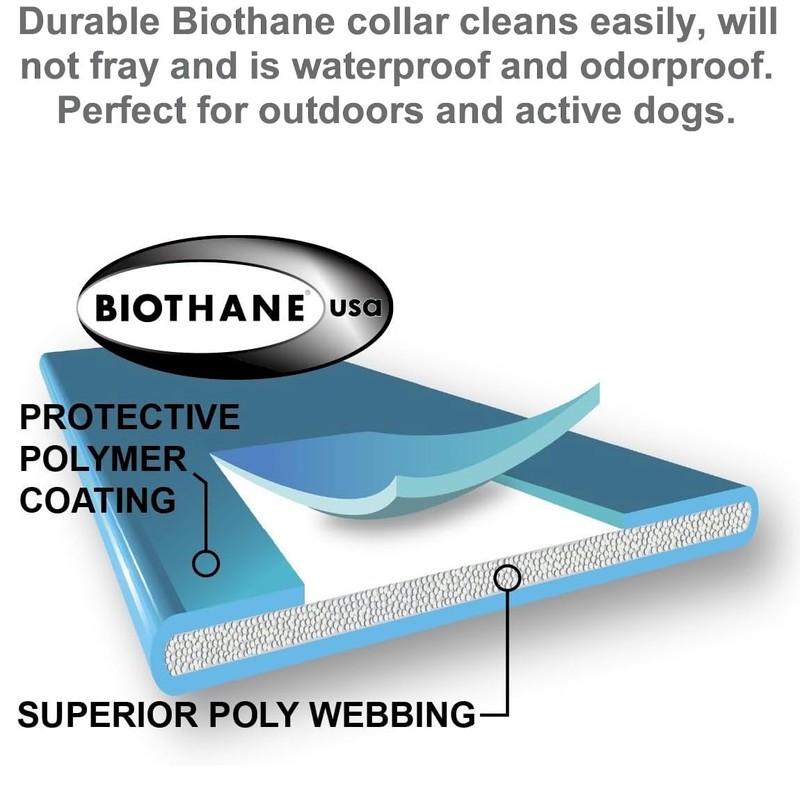 Educator Additional Receiver and Collar Compatible with all Educator Training