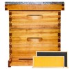 Beginner 10 Frame Bee Hive Beeswax Coated Includes Beehive Frames
