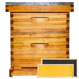 Beginner 10 Frame Bee Hive Beeswax Coated Includes Beehive Frames and Foundations (1 Deep Box & 1 Medium Box)